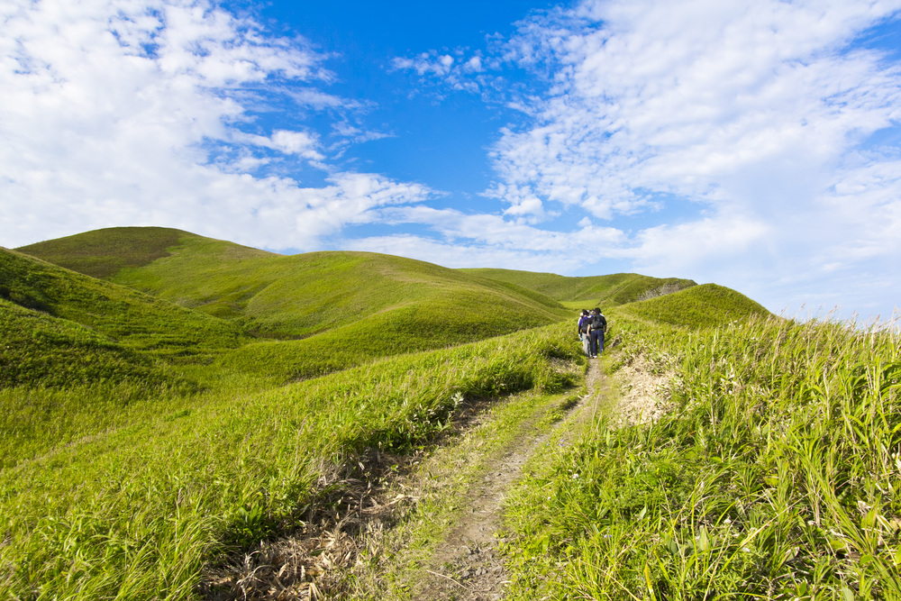 礼文島ゴロタ岬に続く道