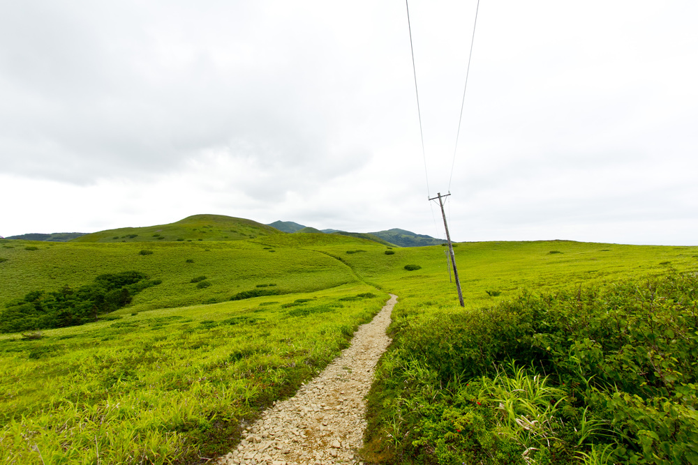 礼文島「愛とロマンの8時間コース」