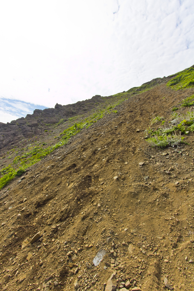 礼文島「愛とロマンの8時間コース」
