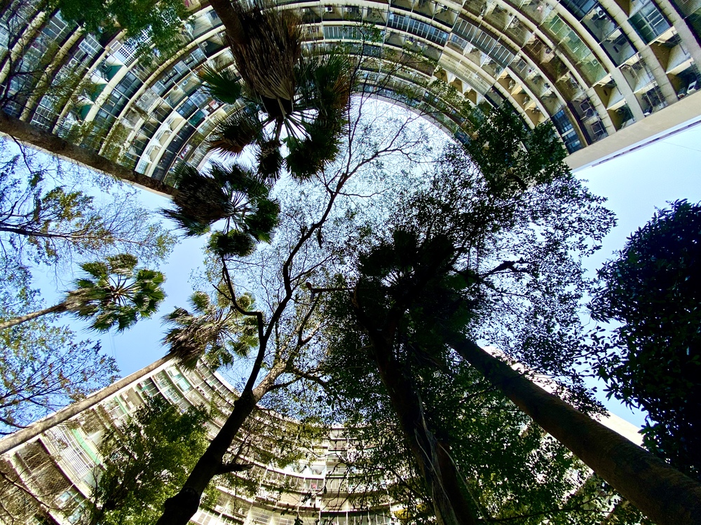 果貿社区の円形集合住宅