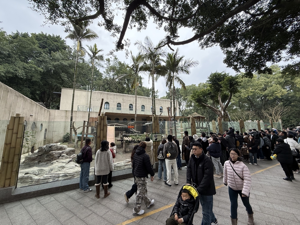 重慶動物園のパンダエリア