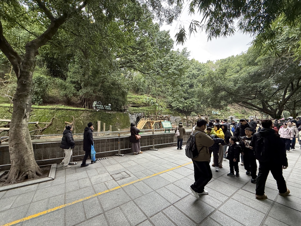 重慶動物園のパンダエリア