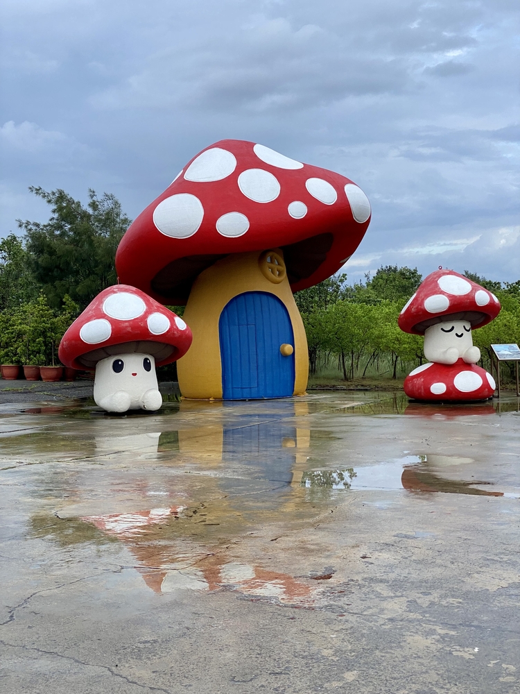 七股塩山マリオのキノコ