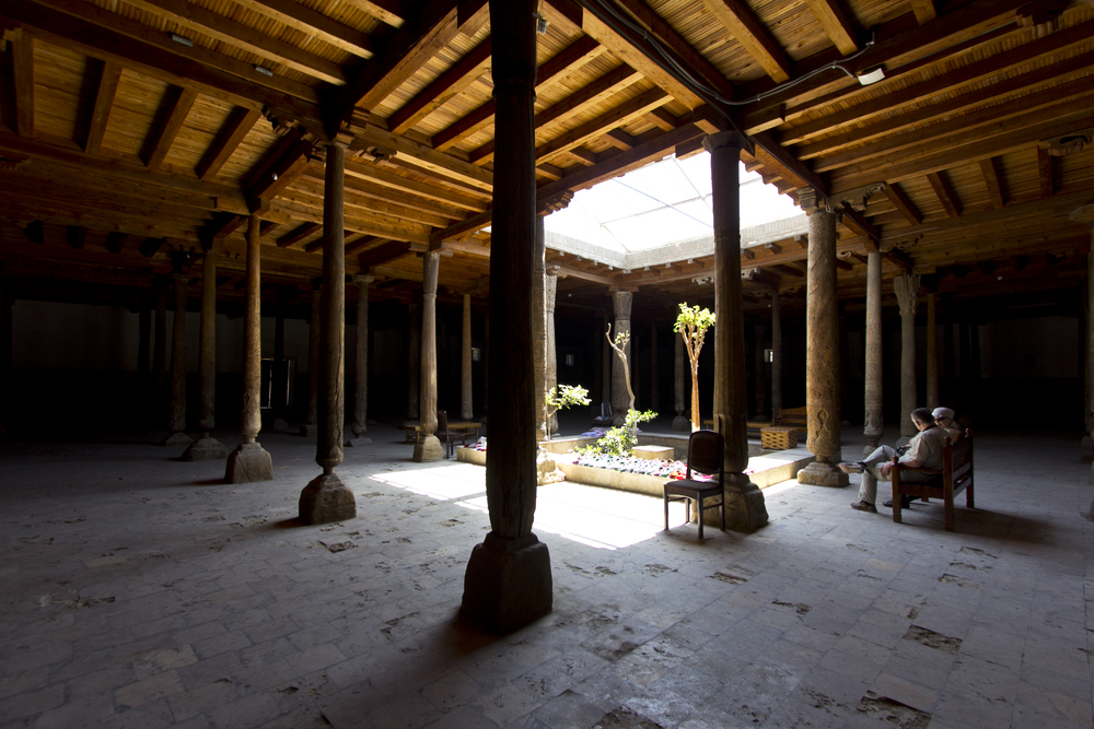 ジュマモスクの樹の森