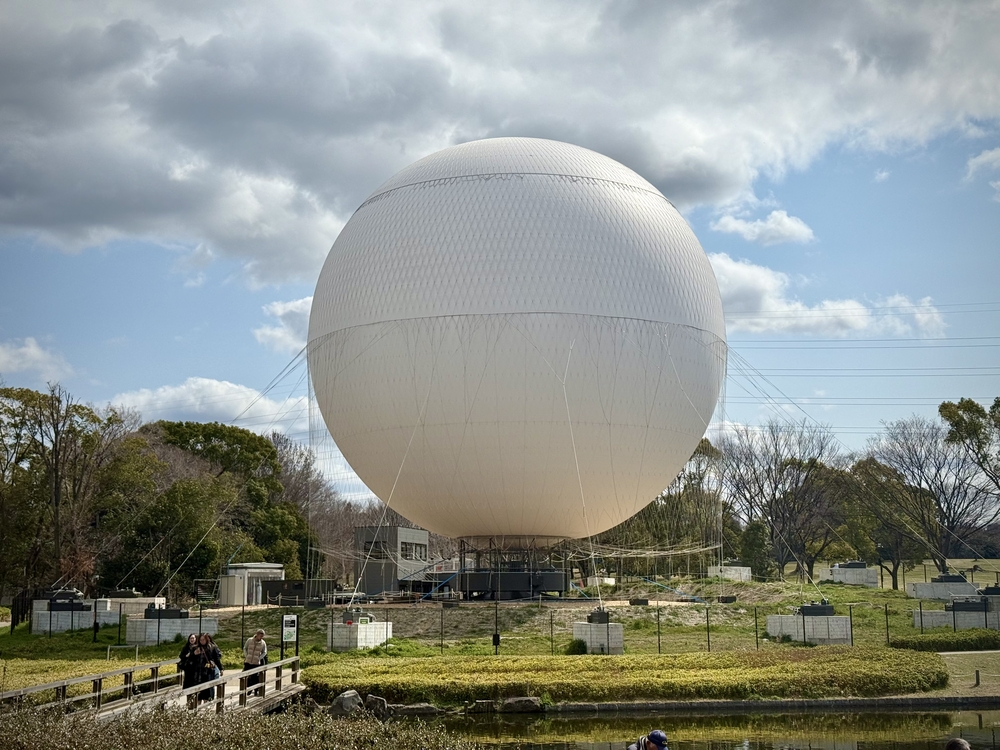 大仙公園どら池の南